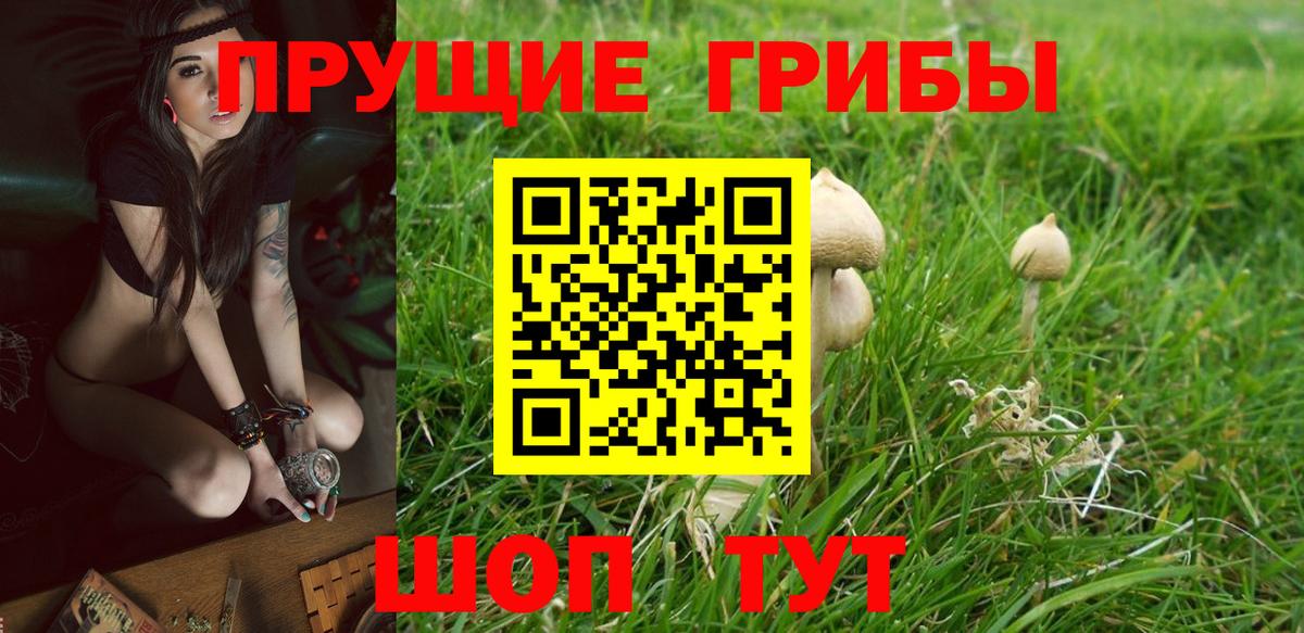 Полысаево  Псилоцибиновые грибы Psilocybine cubensis  магазин  наркотиков  Вход с VPN 